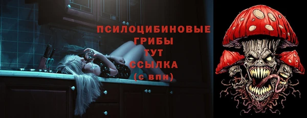 спиды Аркадак