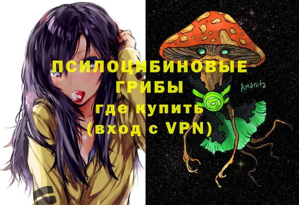 спиды Аркадак