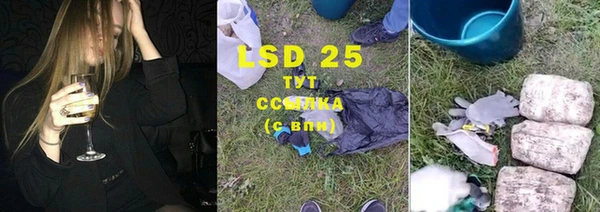 спиды Аркадак