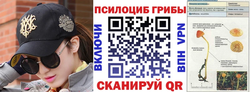 Псилоцибиновые грибы Psilocybine cubensis  купить  цена  Николаевск-на-Амуре 